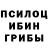 Псилоцибиновые грибы Cubensis New Dancer