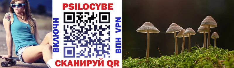 где купить наркоту  Анапа  ссылка на мегу tor  Псилоцибиновые грибы мухоморы 